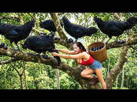 Harvest Devil's Face Black Chickens & Eggs Go To Market Sell, Make Grilled Meat | Ella New Life