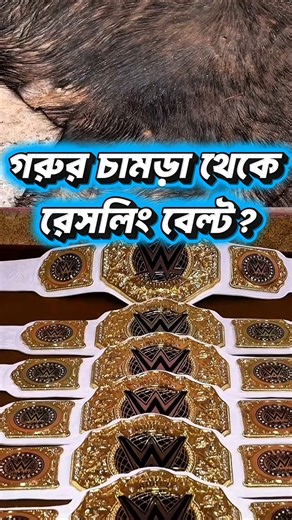 গরুর চামড়া থেকে WWE Championship বেল্ট? How WWE Wrestling Belt Is Made #shorts #viral #wrestling