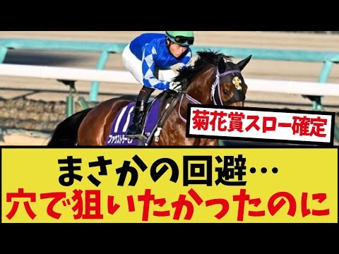 Everyone's reactions to "Faustlersen's decision to skip the Kikuka Sho"