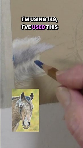 How to Draw Realistic Horse Hair With Just Two Colors