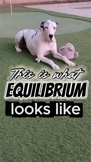 When Food Stops Being a Problem