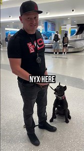 Tips for Stress-Free Dog Travel!