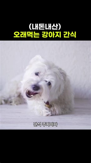 광고❌분리불안 추천 오래먹는 강아지 간식🦴 1️⃣펫크루, 히말라야 야크추 기호성, 성분 좋은 껌 9000원대~ / 2개 2️⃣몬트인섹트 강아지껌 적당한 질감의 덴탈껌 17000원대~ / 30개 3️⃣퍼셀 나일론껌 향있는 껌 모양 장난감 3000원대 ~ / 1개