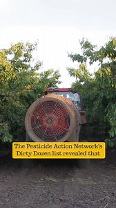 Don’t eat off the Dirty Dozen List. Choose organic for food grown as nature intended, with zero artificial pesticides. | Abel & Cole