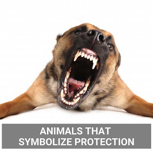 Playing Safe: Top 10 Animals That Symbolize Protection