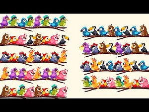 Bird Sort: Color Puzzle Game All Level Gameplay - Live Stream