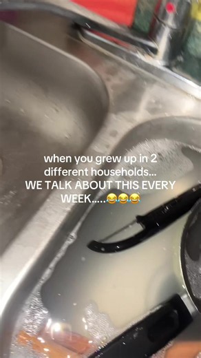 How do y’all wash dishes? — common household approaches