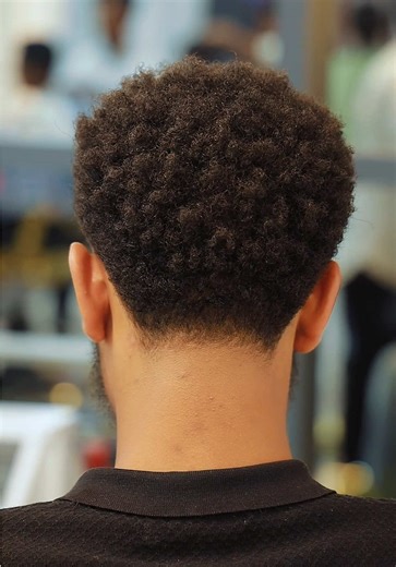 Expert Low Fade and Taper Fade Barber Techniques