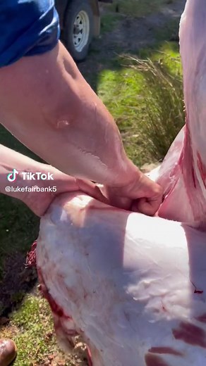 Luke Fairbank on TikTok