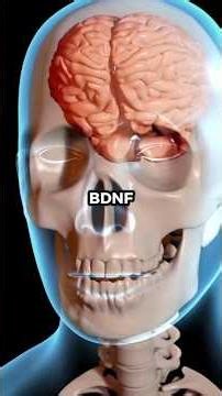 Activate BDNF protein to boost brain cells with these foods #viralshort #brain