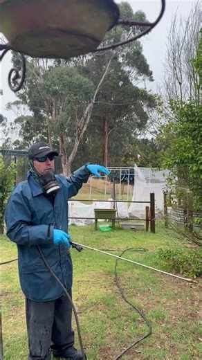 Termite Control in Tree Stump | Identifying and Treating Termites