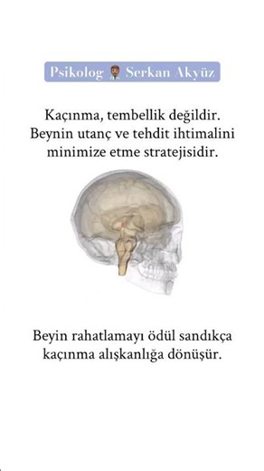 Beyin davranışları bilinçli kararlarla değil, büyük oranda otomatik devrelerle yürütür. #reels #love