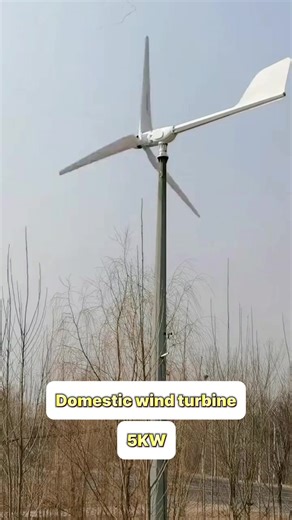 5-kilowatt wind turbine, rated wind speed 10 metres per second. At rated wind speed, hourly electricity generation is 5 kilowatt-hours, with daily total generation exceeding 100 kilowatt-hours. Conversion efficiency is 45%. Electricity generation depends on wind speed, making installation suitable for only a few regions. Installed correctly, it's a treasure; installed incorrectly, it's a waste.#windturbine #alternativeenergy #homeenergysolutions #smallwindturbine #newenergy