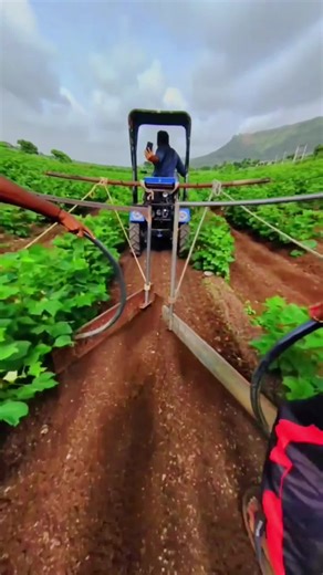 al.shmmary2 على TikTok