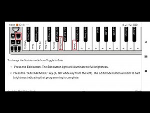 M-Audio Keystation Mini 32 Sustain tip