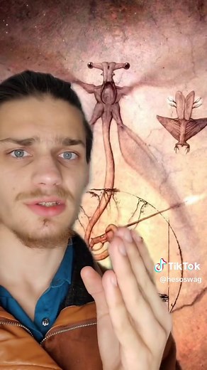 All Tomorrow's: The Colonials - Explained