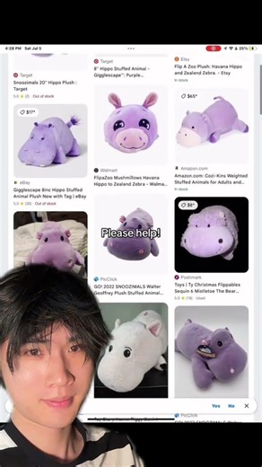 Stuffed animal identification