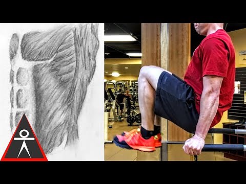 Build Strong Abs With Dip Bar Leg Raises