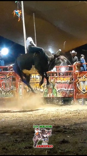 41K views · 690 reactions | ¡QUE REPAROS! Consentido del Consul vs Piloto Americano de Rancho Mil Amores Plaza: San Andres Totoltepec #LoMejorDelJaripeo | Lo Mejor Del Jaripeo | Facebook