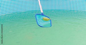 Cleaning frame pool with a skimmer net. Pool maintenance process