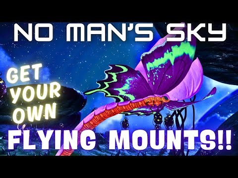 How To Get Ride-Worthy Flying Companions Pt2: Best Flying Mounts In No Man's Sky - 2025 NMS Tutorial