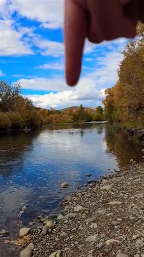 Big Brown Trout Jumps #browntrout #trout #troutfishing #fallcolors #nature #fishingadventures #fyp | Guided By Wilderness | Facebook
