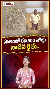 పొలంలో రూ.500 నోట్లు నాటిన రైతు.. | Rajasthan Farmer Plants 500 Notes In Field | Pura Local