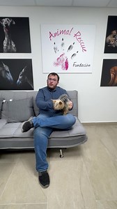 4.7K views · 362 reactions | Durante 11 años, Beethoven ha dado todo...