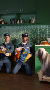 Drop the pre-laundry steps. Maytag engineered the Pet Pro System with features designed to conquer pet hair like a pro. Find it at Lowe’s today. | Maytag