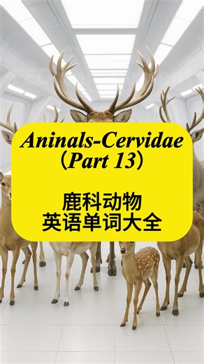 Can you name all these deer in English? #deer #english #esl #animal #languagelearning