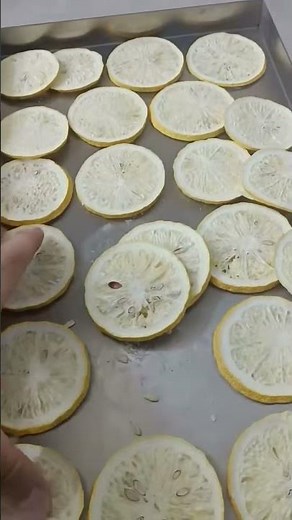 Vacuum Freeze Dryer (Freeze-Drying Machine) Small, medium, and large models are available.
