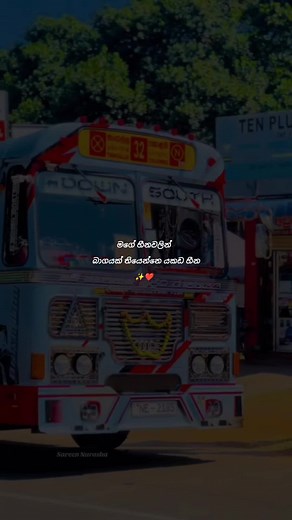 #Bus_Lover❤️✌️ #TikTok_Sir_Lanka🇱🇰 #Official #1M