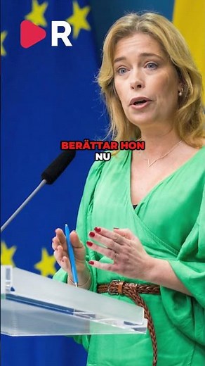 Annika Strandhäll: S tvingade att nätkriga