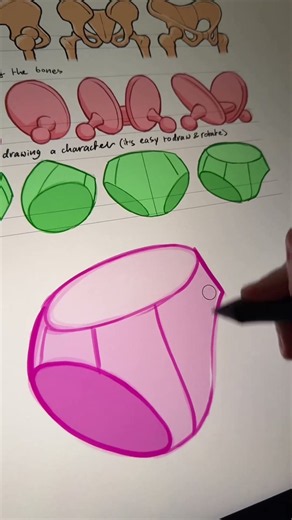 How to draw the pelvis