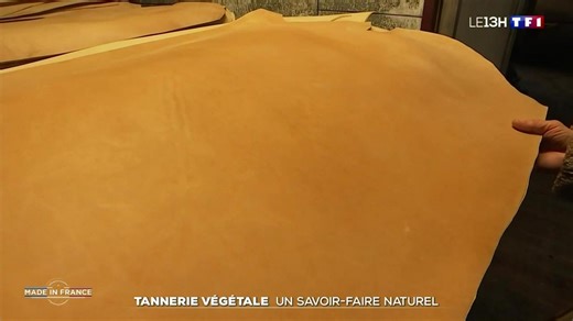 Tannerie végétale : un savoir-faire naturel