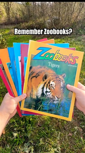 Remember the Colorful Pages of ZOOBOOKS? #nostalgia