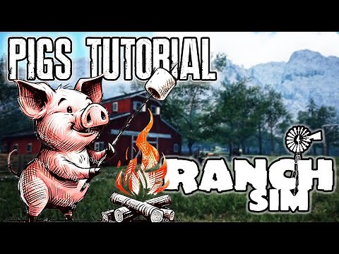 How To Get Filthy Rich From Pigs on Ranch Simulator! 🐷