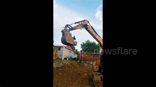 Playful pooch delights worker by jumping into excavator's bucket and treating it like fairground ride
