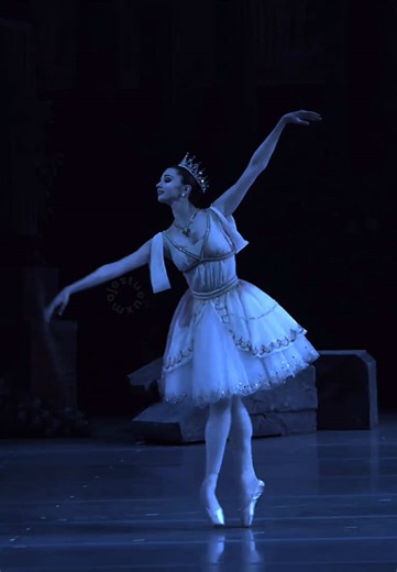 Exploring the Art of Ballet: A Dancer's Journey