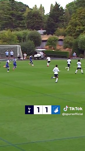 Spurs 2-2 Hoffenheim highlights — Tottenham friendly match summary