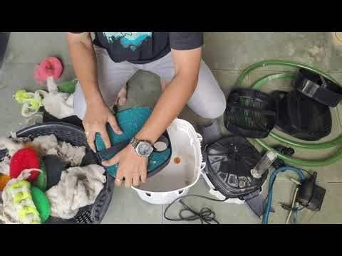 Cleaning Canister Filter & DIY Filter Box | Indoor Pond Maintenance