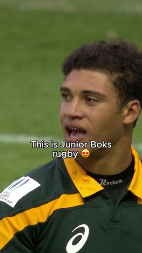 Journey of the Junior Boks to Springbok Greatness
