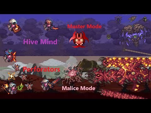 Hive Mind and Perforators on Master Malice Mode all class guide || Terraria 1.4 Calamity Mod guide