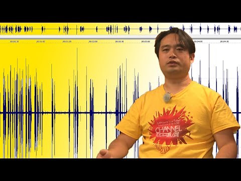 Sound Forge Pro でのノイズ除去 Noise Reduction 方法 やりかた