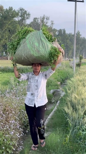 #newsong #music #ट्रेंडिंगशॉर्ट्स #automobile #automobile #bollywooddance