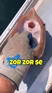 😂 laughing fish🐟 | #fact #facts #factsdaily #knowledge #didyouknow #factz #amazingfacts #dailyfacts #knowledgeispower #instafacts #factsoflife #interestingfacts #generalknowledge #science #sciencefacts #truefacts #instagram #factoftheday #gk #realfacts #love #dailyfact #didyouknowfacts #india #coolfacts #motivation #funfacts #factsonfacts #factsonly #worldfacts | Anas Fact