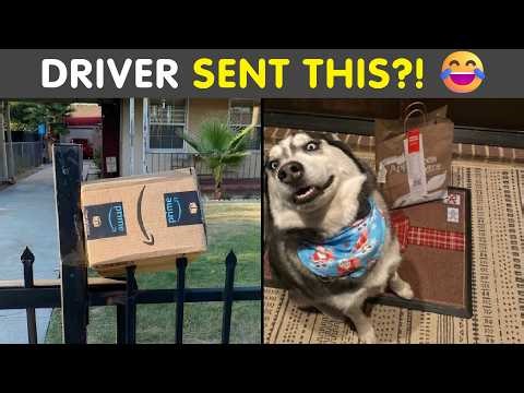 Hilarious Pics Delivery Drivers Sent People 😂 | Funniest Real Photos