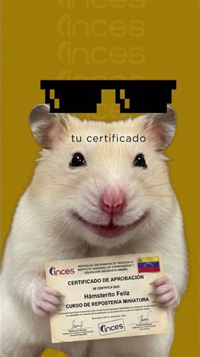 Formación técnica profesional de calidad