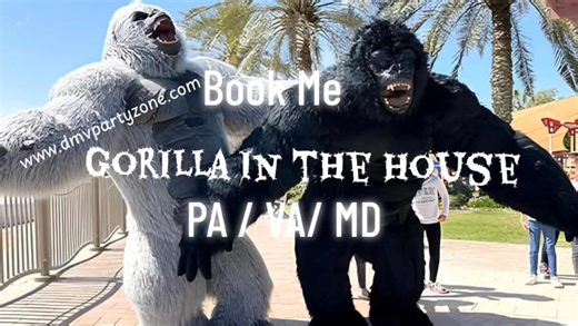 Level up your events and Rent a Dancing Gorilla www.dmvpartyzone.com Inflatable King Kong Gorilla Costume DMV Party Zone USA Dancing Gorilla Costume Wedding Serving Virginia Maryland Pennsylvania and DC Impress guests with fun dance moves and a unique celebration, when your wedding needs a wild twist… Meet our Dancing Gorilla – guaranteed to turn the party into pure chaos & fun! ✨Make your wedding unforgettable with a dancing gorilla costume! The King Of Gorilla Inflatable Costume Mascot Dancing