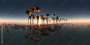 vr 360 panoramia of tropical island at sunset. made with оne 360 degree lense on moving camera without any seams. ready for 360 virtual reality